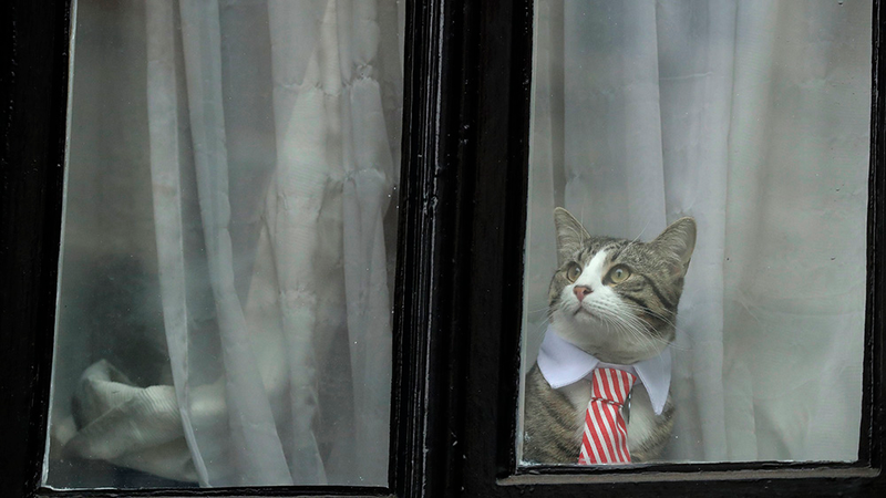 Image: AP Photo/Matt Dunham